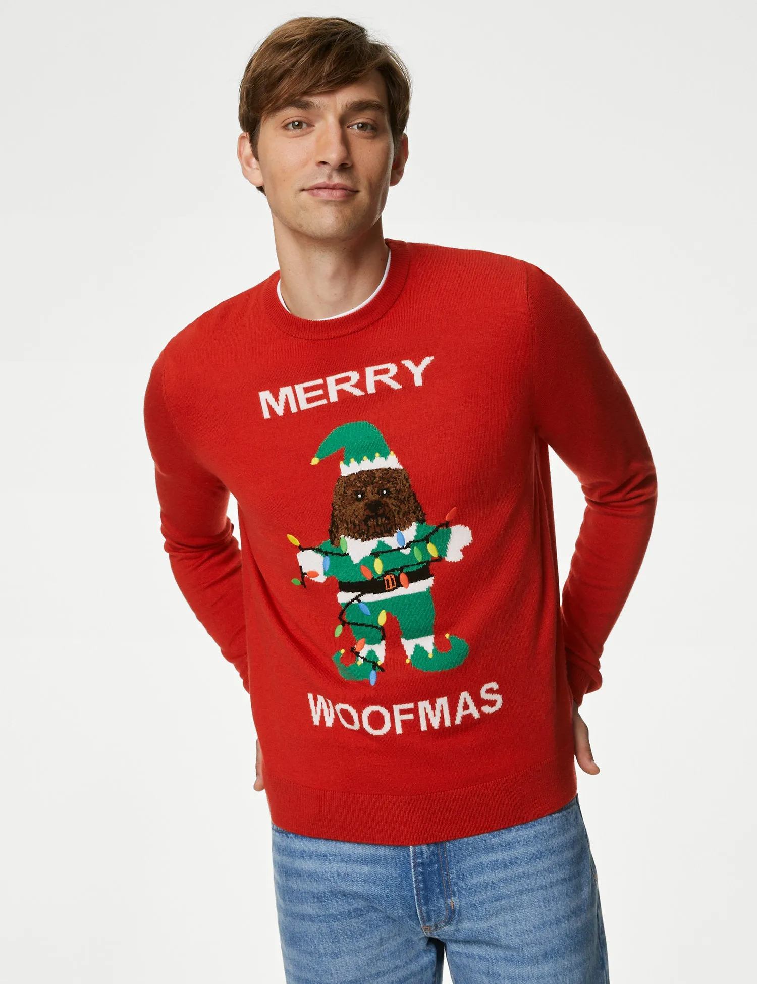 Dog Christmas Jumper