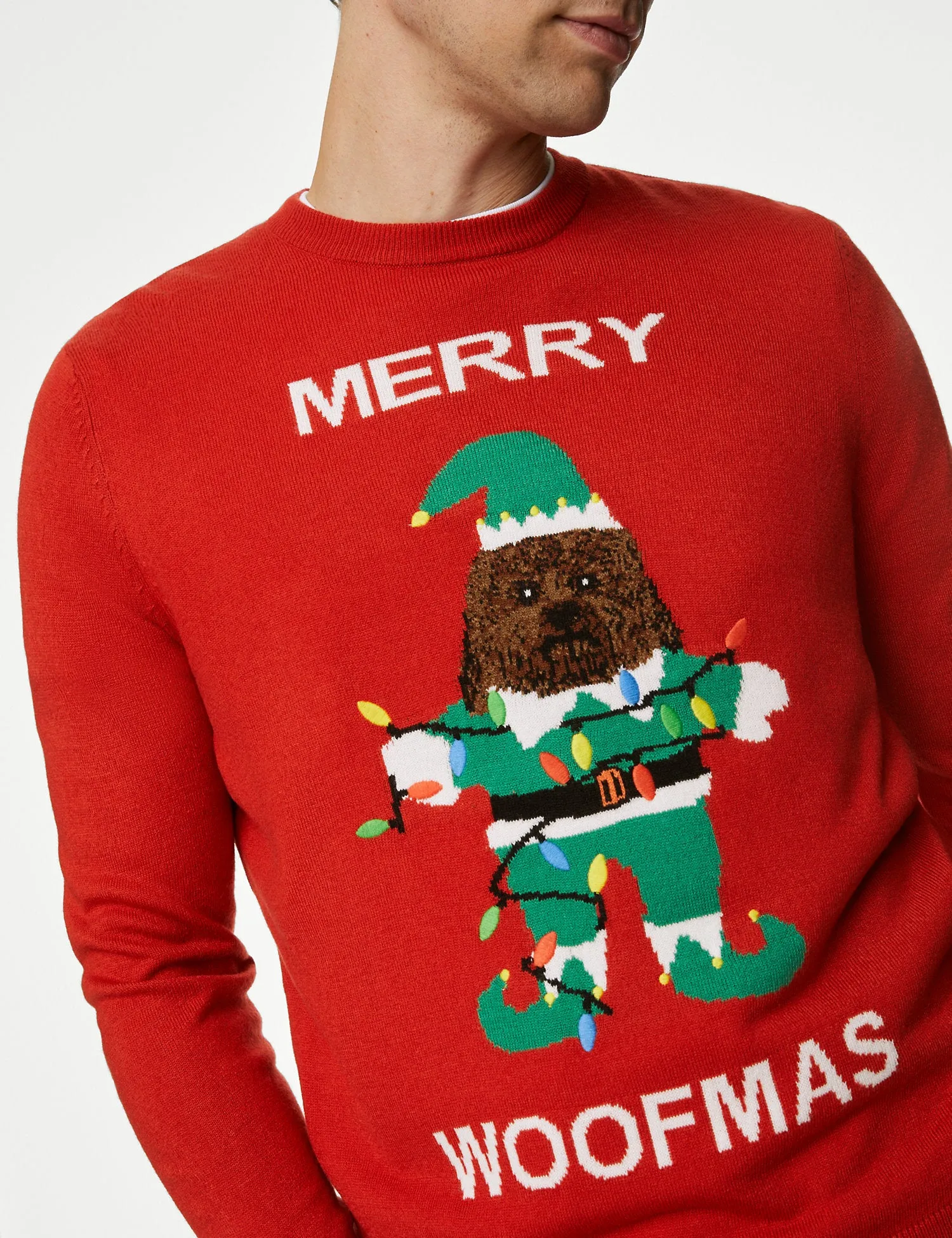 Dog Christmas Jumper