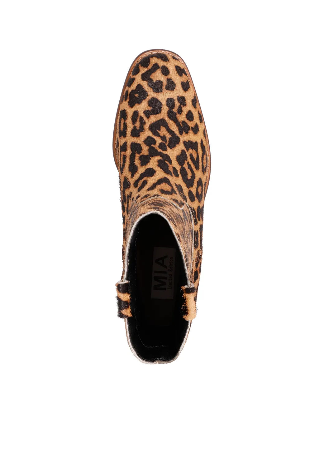 LAURYN - LEOPARD